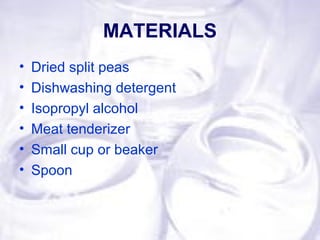 MATERIALS
• Dried split peas
• Dishwashing detergent
• Isopropyl alcohol
• Meat tenderizer
• Small cup or beaker
• Spoon
