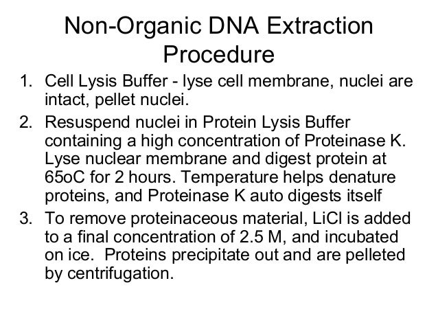 k extraction dna solution proteinase for extraction Dna