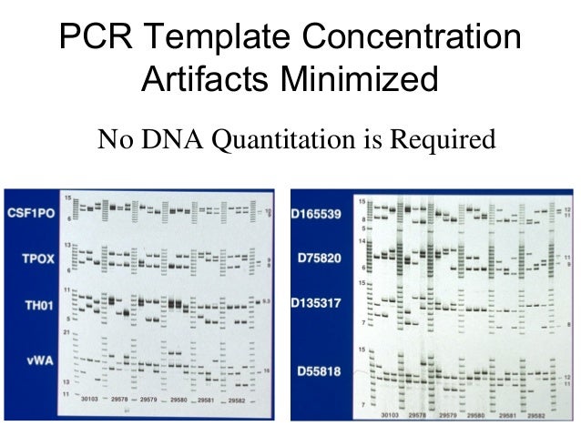 Dna term paper