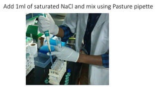 Add 1ml of saturated NaCl and mix using Pasture pipette
 