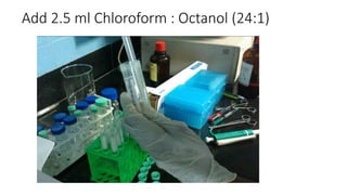 Add 2.5 ml Chloroform : Octanol (24:1)
 