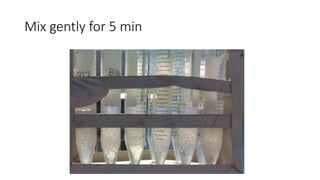 Mix gently for 5 min
 