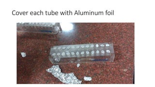 Cover each tube with Aluminum foil
 