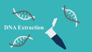 DNA Extraction
 