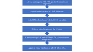 1mL of Chloroform: Isoamyl alcohol (24:1) was added.
Aqueous phase was taken in a fresh falcon tube.
1.It was centrifuged at 3000-5000 rpm for 10 mins at room
temperature.
Aqueous phase was taken in a fresh falcon tube.
It was centrifuged at 3000-5000 rpm for 10 mins at room
temperature.
1.It was mixed in a rocker for 10 mins.
 