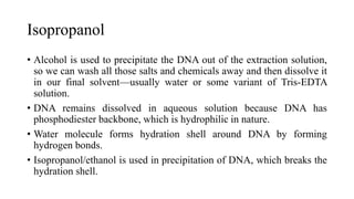 Isopropanol
• Alcohol is used to precipitate the DNA out of the extraction solution,
so we can wash all those salts and chemicals away and then dissolve it
in our final solvent—usually water or some variant of Tris-EDTA
solution.
• DNA remains dissolved in aqueous solution because DNA has
phosphodiester backbone, which is hydrophilic in nature.
• Water molecule forms hydration shell around DNA by forming
hydrogen bonds.
• Isopropanol/ethanol is used in precipitation of DNA, which breaks the
hydration shell.
 