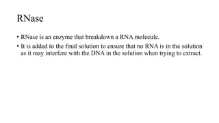 RNase
• RNase is an enzyme that breakdown a RNA molecule.
• It is added to the final solution to ensure that no RNA is in the solution
as it may interfere with the DNA in the solution when trying to extract.
 