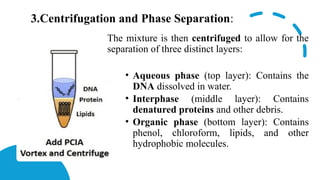 DNA Extraction and its Purification.pptx