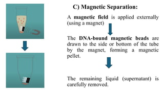 DNA Extraction and its Purification.pptx