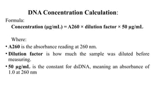 DNA Extraction and its Purification.pptx