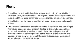 Phenol
• Phenol is a carbolic acid that denatures proteins quickly, but it is highly
corrosive, toxic, and flammable. This organic solvent is usually added to the
sample and then, using centrifugal force, a biphasic emulsion is obtained.
• phenol is to ensure a clear separation between the aqueous and organic
phases.
• Two “phases” form when phenol is added to the solution and centrifuged.
There is an aqueous, polar phase at the top of the solution containing
nucleic acids and water, and an organic phase containing denatured
proteins and other cell components at the bottom of the solution. The
aqueous phase is always on top of the organic because, as mentioned
above, phenol is denser than water
 