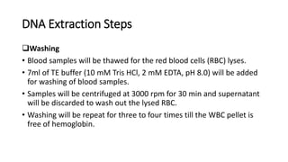 DNA Extraction Steps
Washing
• Blood samples will be thawed for the red blood cells (RBC) lyses.
• 7ml of TE buffer (10 mM Tris HCl, 2 mM EDTA, pH 8.0) will be added
for washing of blood samples.
• Samples will be centrifuged at 3000 rpm for 30 min and supernatant
will be discarded to wash out the lysed RBC.
• Washing will be repeat for three to four times till the WBC pellet is
free of hemoglobin.
 