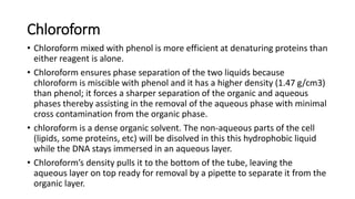 Chloroform
• Chloroform mixed with phenol is more efficient at denaturing proteins than
either reagent is alone.
• Chloroform ensures phase separation of the two liquids because
chloroform is miscible with phenol and it has a higher density (1.47 g/cm3)
than phenol; it forces a sharper separation of the organic and aqueous
phases thereby assisting in the removal of the aqueous phase with minimal
cross contamination from the organic phase.
• chloroform is a dense organic solvent. The non-aqueous parts of the cell
(lipids, some proteins, etc) will be disolved in this this hydrophobic liquid
while the DNA stays immersed in an aqueous layer.
• Chloroform’s density pulls it to the bottom of the tube, leaving the
aqueous layer on top ready for removal by a pipette to separate it from the
organic layer.
 