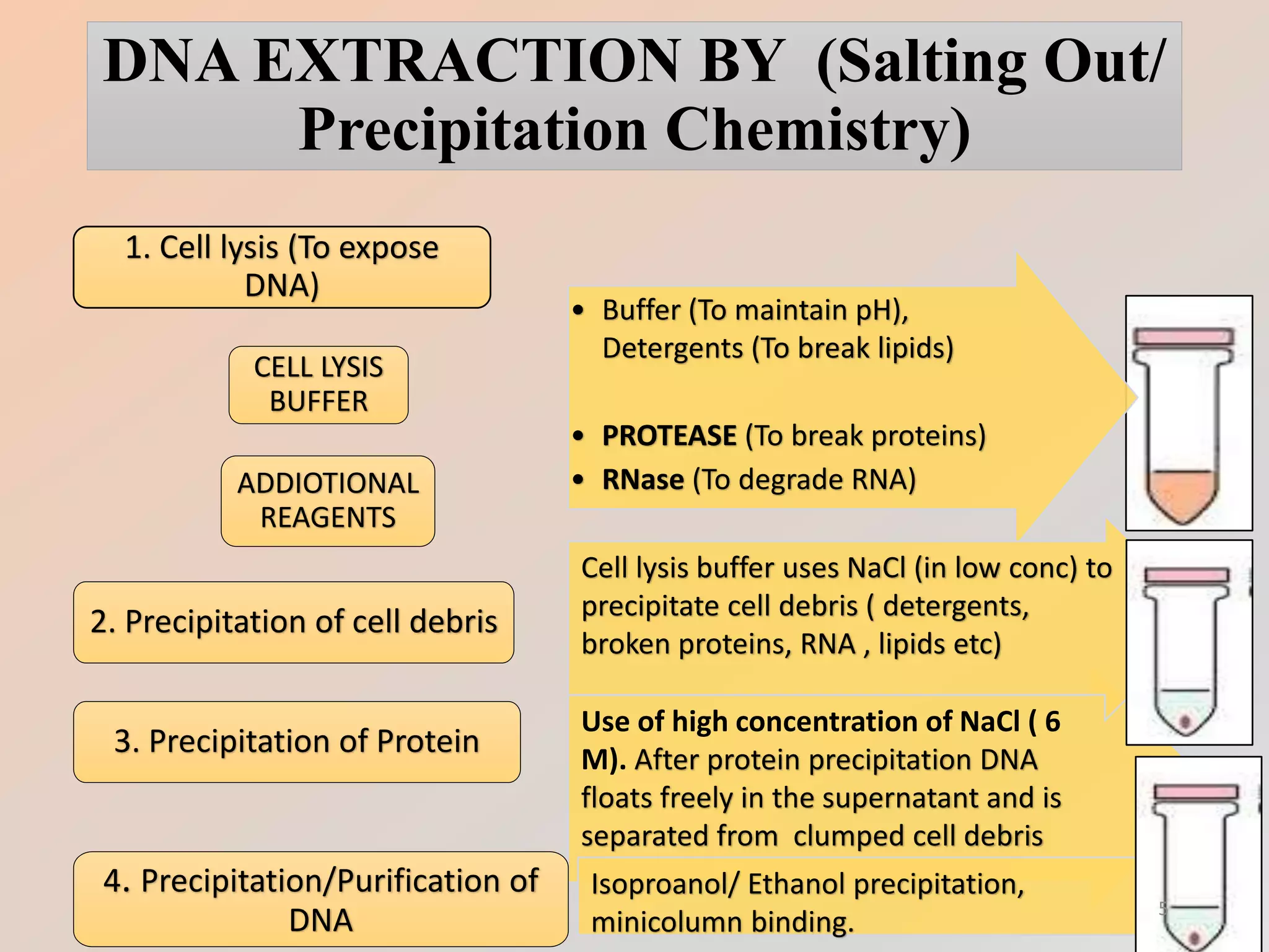 Dna extraction from whole blood | PPTX