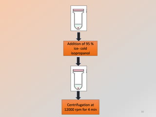 Addition of 95 %
ice- cold
isopropanol
Centrifugation at
12000 rpm for 4 min 10
 