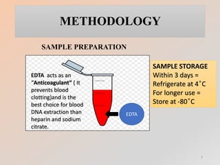 METHODOLOGY
EDTA
EDTA acts as an
“Anticoagulant” ( It
prevents blood
clotting)and is the
best choice for blood
DNA extraction than
heparin and sodium
citrate.
SAMPLE STORAGE
Within 3 days =
Refrigerate at 4 ͦC
For longer use =
Store at -80 ͦC
SAMPLE PREPARATION
7
 