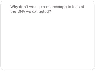 Dna extraction lab | PPT