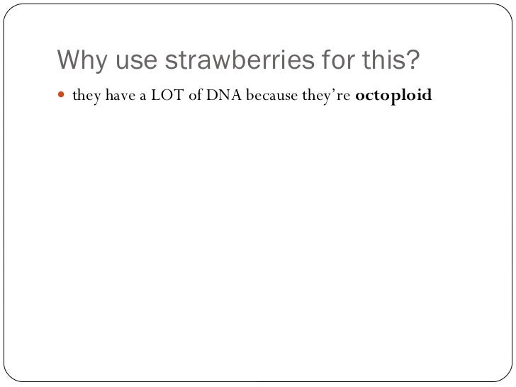 dna extraction lab strawberry dna extraction lab