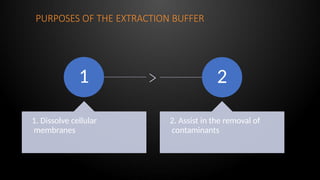 PURPOSES OF THE EXTRACTION BUFFER
1
1. Dissolve cellular
membranes
2
2. Assist in the removal of
contaminants
 