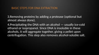 BASIC STEPS FOR DNA EXTRACTION
3.Removing proteins by adding a protease (optional but
almost always done).
4.Precipitating the DNA with an alcohol — usually ice-cold
ethanol or isopropanol. Since DNA is insoluble in these
alcohols, it will aggregate together, giving a pellet upon
centrifugation. This step also removes alcohol-soluble salt.
 