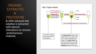 ORGANIC
EXTRACTIO
N
PROCEDURE
3. DNA released into
solution is extracted
with phenol-
chloroform to remove
proteinaceous
material.
 