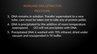 INORGANIC DNA EXTRACTION
PROCEDURE:
3. DNA remains in solution. Transfer supernatant to a new
tube, care must be taken not to take any of protein pellet.
4. DNA is precipitated by the addition of room temperature
isopropanol. LiCl will not precipitate with DNA.
5. Precipitated DNA is washed with 70% ethanol, dried under
vacuum and resuspended in TE buffer.
 