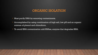 ORGANIC ISOLATION
• Must purify DNA by removing contaminants.
• Accomplished by using combination of high salt, low pH and an organic
mixture of phenol and chloroform.
• To avoid RNA contamination add RNAse, enzyme that degrades RNA.
 