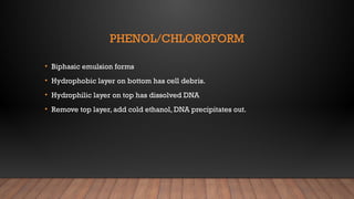 PHENOL/CHLOROFORM
• Biphasic emulsion forms
• Hydrophobic layer on bottom has cell debris.
• Hydrophilic layer on top has dissolved DNA
• Remove top layer, add cold ethanol, DNA precipitates out.
 