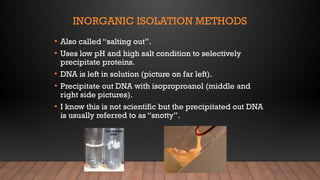 INORGANIC ISOLATION METHODS
• Also called “salting out”.
• Uses low pH and high salt condition to selectively
precipitate proteins.
• DNA is left in solution (picture on far left).
• Precipitate out DNA with isoproproanol (middle and
right side pictures).
• I know this is not scientific but the precipitated out DNA
is usually referred to as “snotty”.
 