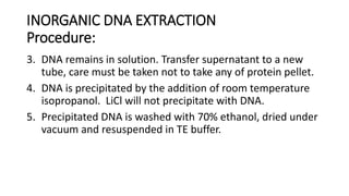INORGANIC DNA EXTRACTION
Procedure:
3. DNA remains in solution. Transfer supernatant to a new
tube, care must be taken not to take any of protein pellet.
4. DNA is precipitated by the addition of room temperature
isopropanol. LiCl will not precipitate with DNA.
5. Precipitated DNA is washed with 70% ethanol, dried under
vacuum and resuspended in TE buffer.
 
