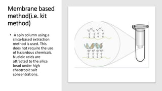 Membrane based
method(i.e. kit
method)
• A spin column using a
silica-based extraction
method is used. This
does not require the use
of hazardous chemicals.
Nucleic acids are
attracted to the silica
bead under high
chaotropic salt
concentrations.
 