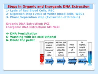 DNA Extraction Methods | PDF