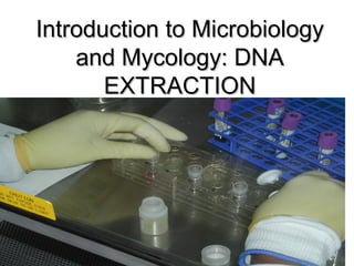 Introduction to MicrobiologyIntroduction to Microbiology
and Mycology: DNAand Mycology: DNA
EXTRACTIONEXTRACTION
 