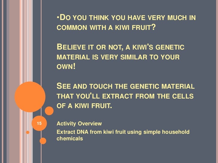 extracting dna from kiwi conclusion