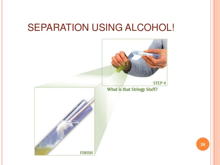 DNA extraction presentation