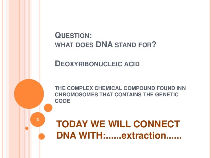dna extraction lab