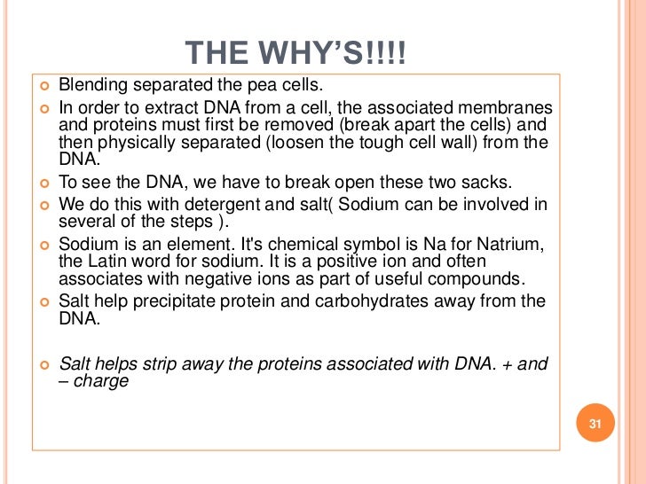 DNA extraction presentation