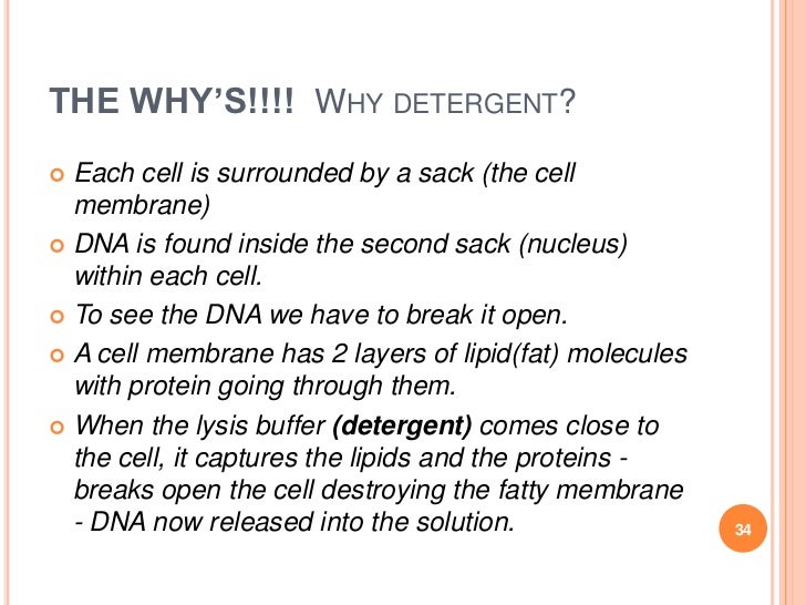 Dna Extraction Presentation