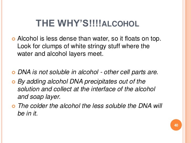 Dna Extraction Presentation