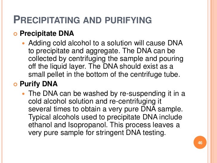 DNA extraction presentation