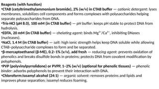 DNA extraction Protocol.pptx by meer hungry | PPTX