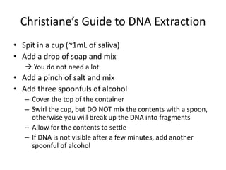 Christiane’s Guide to DNA Extraction
• Spit in a cup (~1mL of saliva)
• Add a drop of soap and mix
 You do not need a lot

• Add a pinch of salt and mix
• Add three spoonfuls of alcohol
– Cover the top of the container
– Swirl the cup, but DO NOT mix the contents with a spoon,
otherwise you will break up the DNA into fragments
– Allow for the contents to settle
– If DNA is not visible after a few minutes, add another
spoonful of alcohol

 