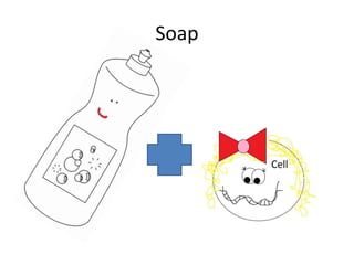 Soap

 