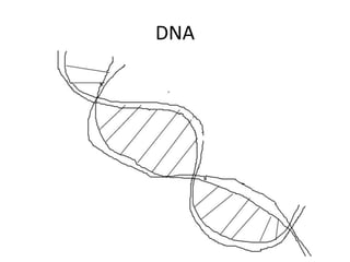 DNA

 