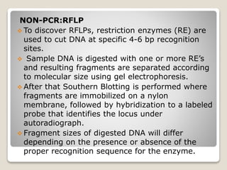 NON-PCR:RFLP
 To discover RFLPs, restriction enzymes (RE) are
used to cut DNA at specific 4-6 bp recognition
sites.
 Sample DNA is digested with one or more RE’s
and resulting fragments are separated according
to molecular size using gel electrophoresis.
 After that Southern Blotting is performed where
fragments are immobilized on a nylon
membrane, followed by hybridization to a labeled
probe that identifies the locus under
autoradiograph.
 Fragment sizes of digested DNA will differ
depending on the presence or absence of the
proper recognition sequence for the enzyme.
 