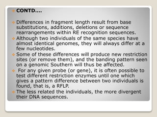  CONTD….
 Differences in fragment length result from base
substitutions, additions, deletions or sequence
rearrangements within RE recognition sequences.
 Although two individuals of the same species have
almost identical genomes, they will always differ at a
few nucleotides.
 Some of these differences will produce new restriction
sites (or remove them), and the banding pattern seen
on a genomic Southern will thus be affected.
 For any given probe (or gene), it is often possible to
test different restriction enzymes until one which
gives a pattern difference between two individuals is
found, that is, a RFLP.
 The less related the individuals, the more divergent
their DNA sequences.
 