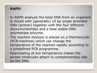  RAPD:
 In RAPD analysis the total DNA from an organism
is mixed with (generally) 10 bp single stranded
DNA (primer) together with the four different
deoxynucleotides and a heat stable DNA
polymerase enzyme.
 The reaction mixture is placed on a thermocycler
(PCR-machine) which can change the
temperature of the reaction rapidly according to
a predefined PCR programme.
 Reannealing at low temperature makes the
primer molecules attach to complementary site
on the DNA.
 