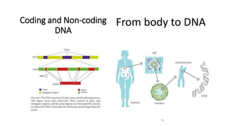 DNA fingerprint | PPSX