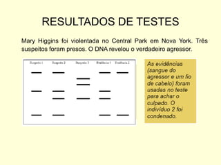 RESULTADOS DE TESTES
Mary Higgins foi violentada no Central Park em Nova York. Três
suspeitos foram presos. O DNA revelou o verdadeiro agressor.
 