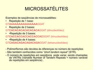 MICROSSATÉLITES
Exemplos de seqüências de microssatélites:
• Repetição de 1 base:
GTAAAAAAAAAAAAAAAGGAT
• Repetição de 2 bases:
GTCACACACACACACACAGGAT (dinucleotídeo)
• •Repetição de 3 bases:
GTCACCACCACCACCACCACGGAT (trinucleotídeo)
• •Repetição de 4 bases:
GTCAGACAGACAGACAGAGGAT (tetranucleotídeo)
- Polimorfismos são devidos às diferenças no número de repetições
- São também conhecidos como “short tandem repeat” (STR).
- O número de repetições em seqüência pode variar, sendo chamadas
de VNTRs (Variable Number of Tandem Repeats = número variável
de repetições em seqüência) .
 